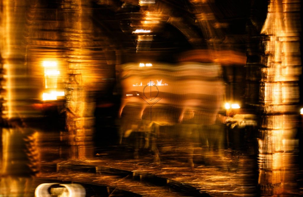 DSC_9490.jpg